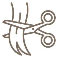 la-coupe-de-cheveux la-coupe-de-cheveux